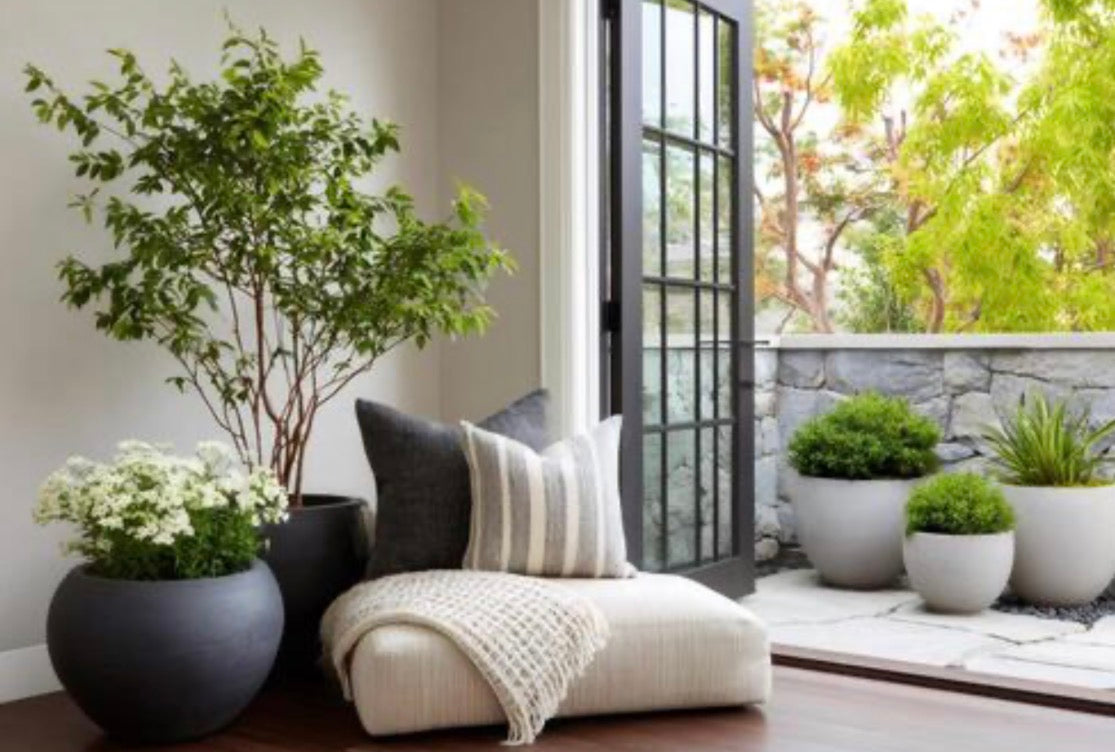 Indoor & Outdoor